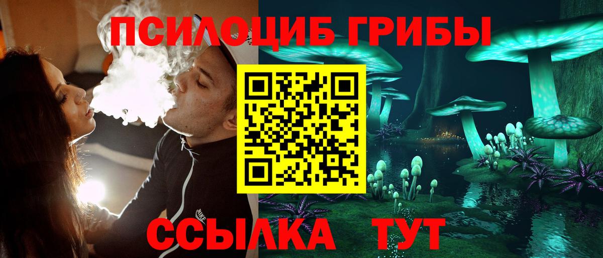 Кемерово  Галлюциногенные грибы Magic Shrooms  купить наркотики сайты  Вход с VPN 